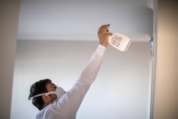 Best Commercial Mold Removal  in Sandoval, IL
