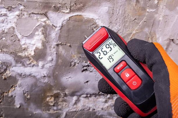Best Certified Mold Removal  in Sandoval, IL