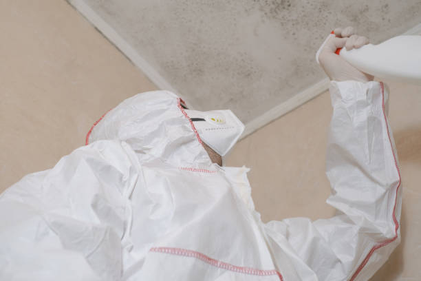 Best Same-Day Mold Removal  in Sandoval, IL